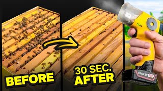 Forget Smoke This Is What Bees Really Care About
