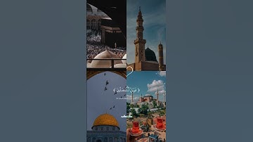 سوره الماعون ‌| عبد الرحمن مسعد