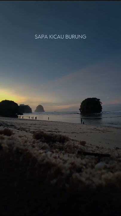 Story WA Aku Kamu dan Samudra #rebellionrose #samudra #pantai #pasir #story #storywa #shorts