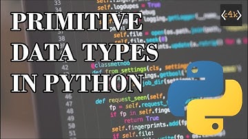 Python Primitive Types!