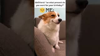 A Dog, Got it 😁😁 Birthday Surprise 😁 #funny #memes #shorts