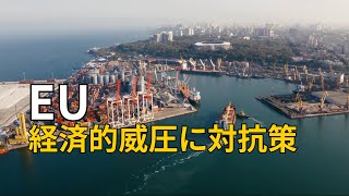 〈字幕版〉EU 経済的威圧への対抗策強化へ