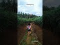 How to use Mobile Lightroom #adobelightroom #mobileediting #mobilephotography #spiderman #shorts
