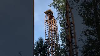 Download Lagu Falcon Roller Coaster! ​⁠@duinrell MP3