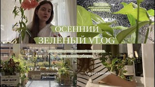 видео: Зелёный VLOG || Покупаю новые растения, делаю тепличку, убираюсь и переставляю растения картинка: Зелёный VLOG || Покупаю новые растения, делаю тепличку, убираюсь и переставляю растения