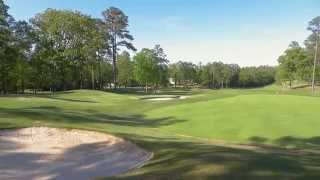 Ponce de Leon Golf*