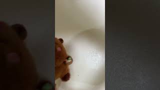 oia aoi-