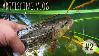 Рыбалка в Северной Осетии. Ловля форели на роднике. Часть 1. Artfishing.Vlog #2