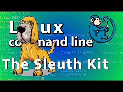 Basic intro to