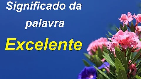 Qual o substantivo de excelente?