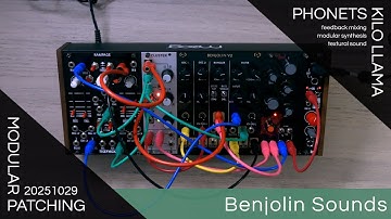 Modular Explorations: Wild Feast