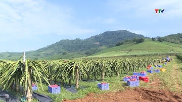 Tiêu thụ nông lâm thủy sản của Việt Nam tích cực| NSTH