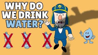 Why Do We Drink Water? | What Does Water Do for the Body