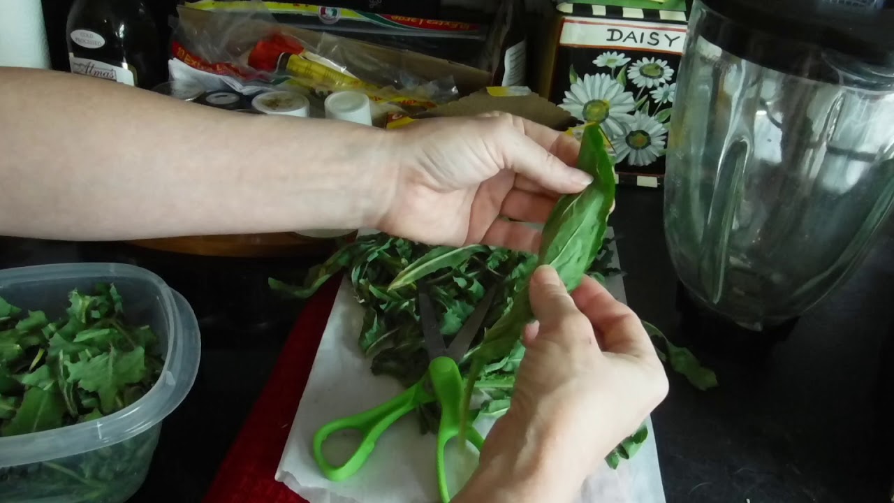 Wild Lettuce Concentrate and useful Information
