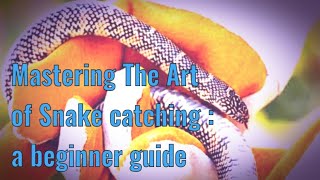 Mastering the Art of Snake Catching - A Guide for Beginners