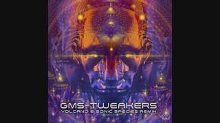 G.M.S. - Tweakers (Volcano & Sonic Species Rmx) ᴴᴰ