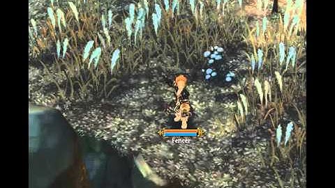 ToS Fencer Skill Attaque Coquille