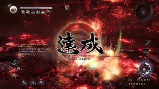 Nioh - I Hear Tonfas Are Bad