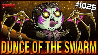 DUNCE OF THE SWARM - The Binding Of Isaac: Repentance #1025