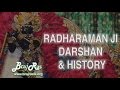 Radha Raman Temple, Vrindavan - Darshan and History | Braj Ras