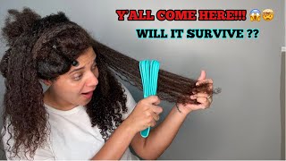 Thick long natural hair vs. EZ Detangler brush