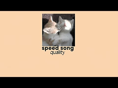 дипинс – sweater holes (speed up) [lyrics]