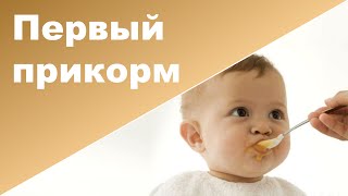 ПЕРВЫЙ ПРИКОРМ ♥ НАЧАЛО ПРИКОРМА ребенка(ПЕРВЫЙ ПРИКОРМ ♥ НАЧАЛО ПРИКОРМА В этом видео делюсь своим опытом и отвечаю вопросы: 1. Когда начинать прико..., 2014-10-21T05:17:01.000Z)