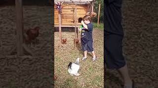 BBQ Chickens - Broken Bubbles