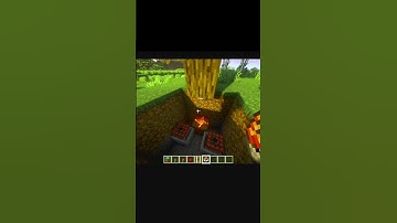 Simple TNT tree trap in minecraft | Minecraft viral hack #11| #minecraft #gamingwithgusto #shorts