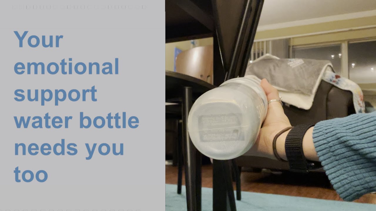 Emotional Support Water Bottle - Extended