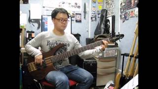 ABBA / Summer Night City - bass cover