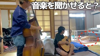 まるくんに音楽を聞かせるとなぜか冷めるらしい・・