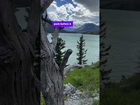 Wideo: Najlepsze wędrówki w Glacier National Park