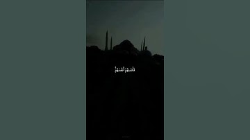ولا تكونوا كالذين نسو الله فأنساهم أنفسهم❤القارئ محمد صديق المنشاوي حالات واتس اب