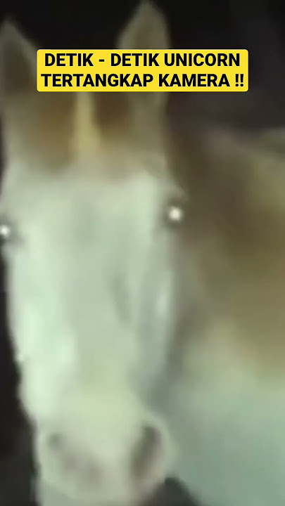 DETIK - DETIK UNICORN TERTANGKAP KAMERA !! #shorts #shortvideo #shorts #mitos #beritaterkini