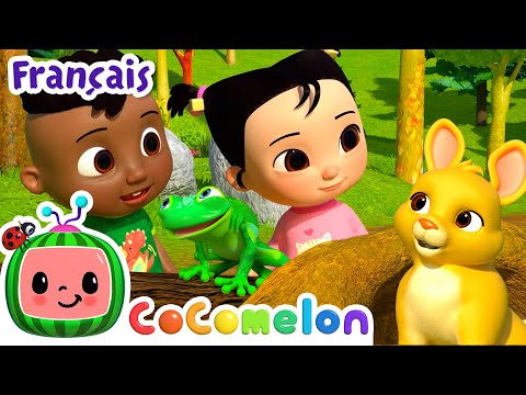 Promenade En Nature CoComelon L Heure De Cody Camp Youtube Chansons Pour Bébés