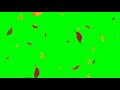 GREEN SCREEN DAUN KERING BERTABURAN | No Copyright