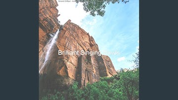 Pulsating Guided Meditations