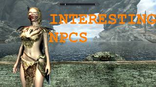 Elder Scrolls 5 Skyrim Mod Interesting NPCs (A Draugr Follower???)