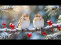 Soothing Piano Melodies with Bird Songs for Deep Relaxation - Stress Relief and Peace