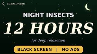INSECT NIGHT SOUNDS 12 HOURS