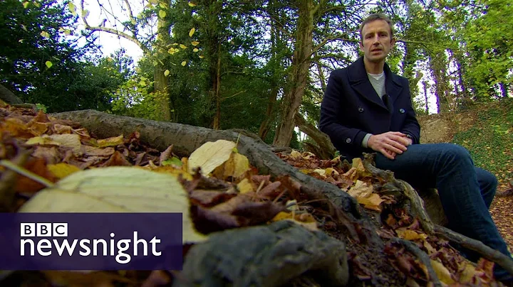 Robert Macfarlane: Do children in the UK spend eno...