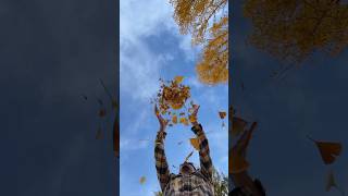Name the tree! 🌳 (u can cheat by looking at the dsc :)