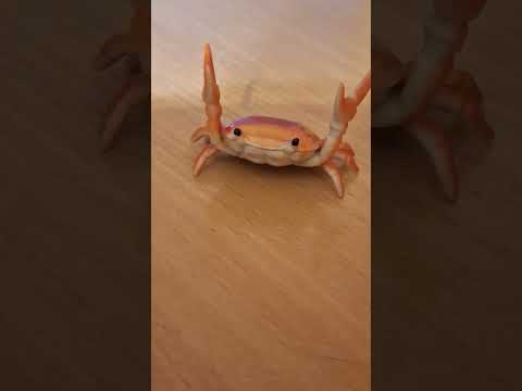 Uhhhh Crab Rave #silly #crab