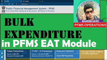 How to create EXPENDITURE in Bulk on PFMS |Vendor Payment in BULK | Bulk Customization