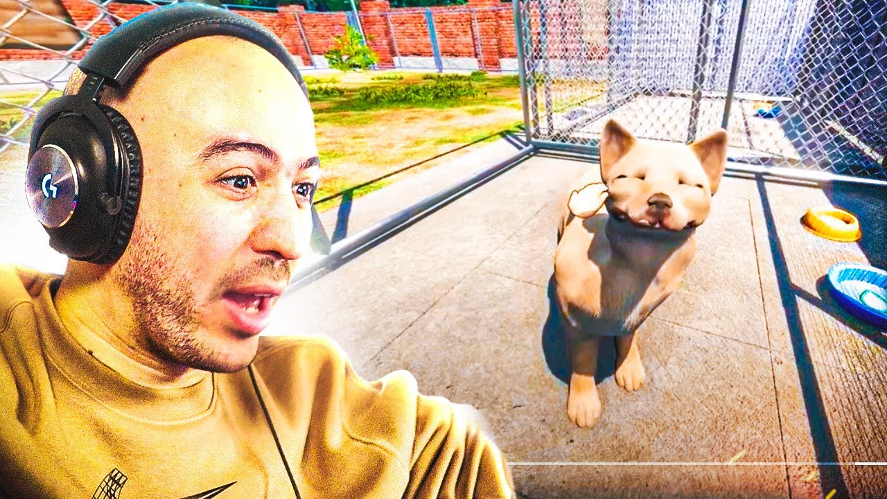 SAUVER DES CHIENS ABANDONNÉS !