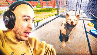 SAUVER DES CHIENS ABANDONNÉS ! screenshot 3