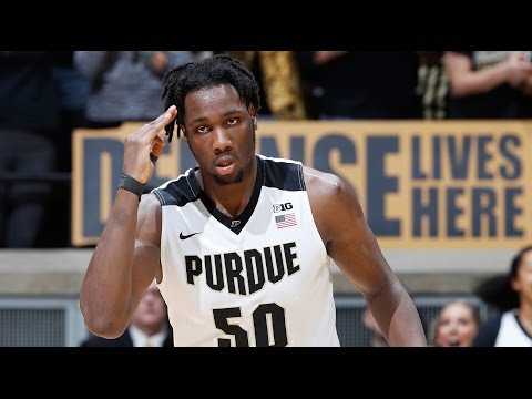 Caleb Swanigan Official Sophomore Year Highlights // 2016-2017