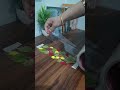 Flower bookmark 🌹🌹. #diy #yotube #short #craft #booklover