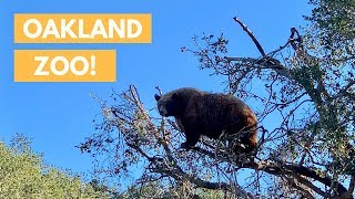 FUN AT THE OAKLAND ZOO! 🐻 2019 vlog